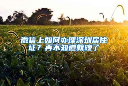 微信上如何办理深圳居住证？再不知道就晚了