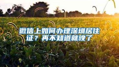 微信上如何办理深圳居住证？再不知道就晚了