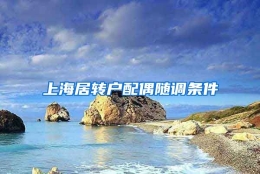 上海居转户配偶随调条件