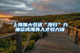 上海加大引进“海归”力度欲成海外人才引力场