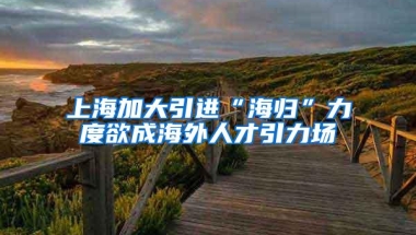 上海加大引进“海归”力度欲成海外人才引力场