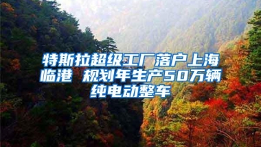 特斯拉超级工厂落户上海临港 规划年生产50万辆纯电动整车