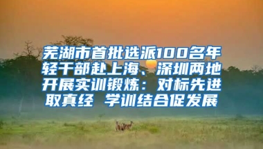 芜湖市首批选派100名年轻干部赴上海、深圳两地开展实训锻炼：对标先进取真经 学训结合促发展