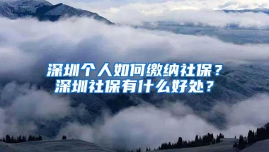 深圳个人如何缴纳社保？深圳社保有什么好处？