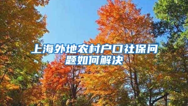 上海外地农村户口社保问题如何解决