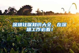 深圳社保知识大全，在深圳工作必看！