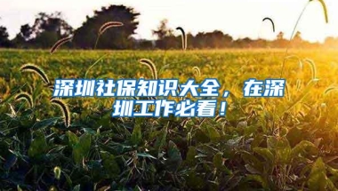 深圳社保知识大全，在深圳工作必看！