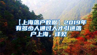 【上海落户数据】2019年有多少人通过人才引进落户上海，详见→