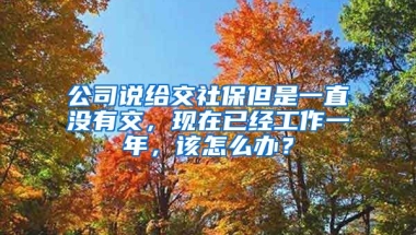 公司说给交社保但是一直没有交，现在已经工作一年，该怎么办？