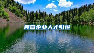 民营企业人才引进