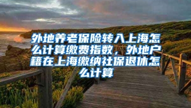 外地养老保险转入上海怎么计算缴费指数，外地户籍在上海缴纳社保退休怎么计算