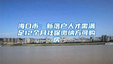 海口市：新落户人才需满足12个月社保缴纳方可购房