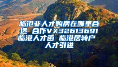 临港非人才购房在哪里合适 合作VX32613691临港人才函 临港居转户 人才引进