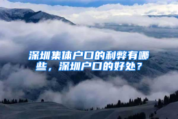 深圳集体户口的利弊有哪些，深圳户口的好处？