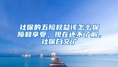 社保的五险权益该怎么保障和享受，现在还不了解，社保白交了