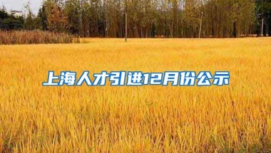 上海人才引进12月份公示