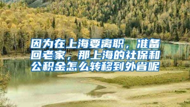 因为在上海要离职，准备回老家，那上海的社保和公积金怎么转移到外省呢