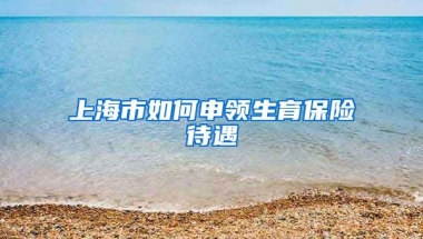 上海市如何申领生育保险待遇