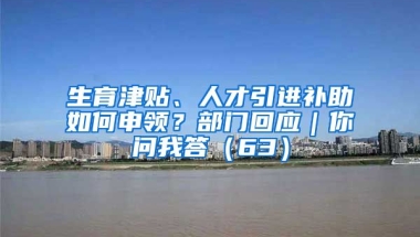 生育津贴、人才引进补助如何申领？部门回应｜你问我答（63）