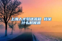 上海人才引进流程 档案什么时候调