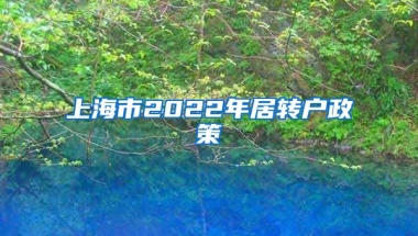 上海市2022年居转户政策