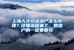 上海人才引进落户怎么办理？详细流程来了，想落户的一定要看完