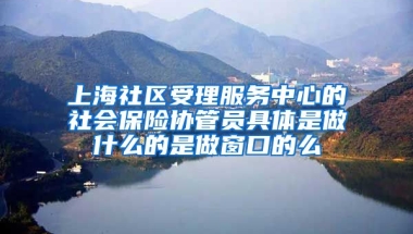 上海社区受理服务中心的社会保险协管员具体是做什么的是做窗口的么