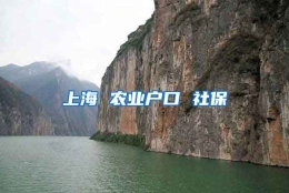 上海 农业户口 社保