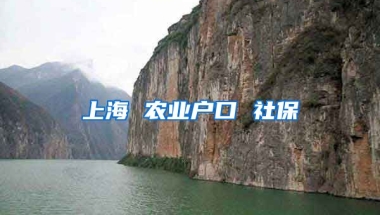 上海 农业户口 社保