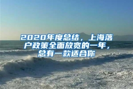 2020年度总结，上海落户政策全面放宽的一年，总有一款适合你