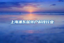 上海浦东居转户科技行业