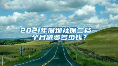 2021年深圳社保二档一个月缴费多少钱？