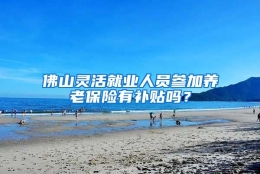 佛山灵活就业人员参加养老保险有补贴吗？