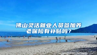 佛山灵活就业人员参加养老保险有补贴吗？