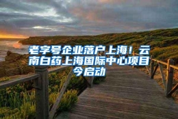 老字号企业落户上海！云南白药上海国际中心项目今启动