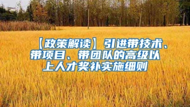 【政策解读】引进带技术、带项目、带团队的高级以上人才奖补实施细则