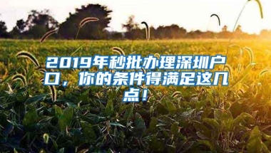 2019年秒批办理深圳户口，你的条件得满足这几点！