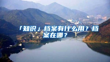 「知识」档案有什么用？档案在哪？