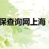 今日12333社保查询网上海（12333社保查询）