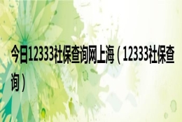 今日12333社保查询网上海（12333社保查询）