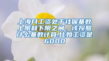 上海月工资处于社保基数上限和下限之间，该按照什么基数计算,比如工资是6000