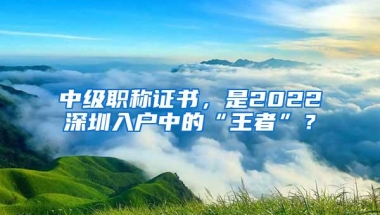 中级职称证书，是2022深圳入户中的“王者”？