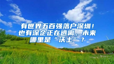 有世界五百强落户深圳！也有深企正在逃离，未来哪里是“沃土”？