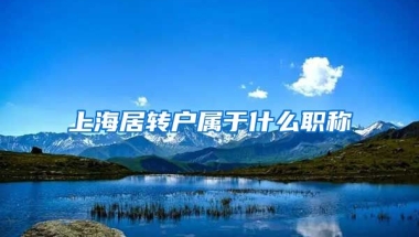 上海居转户属于什么职称