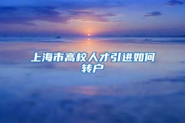 上海市高校人才引进如何转户