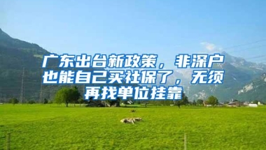 广东出台新政策，非深户也能自己买社保了，无须再找单位挂靠