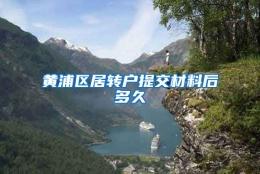 黄浦区居转户提交材料后多久