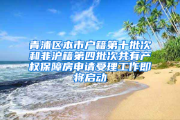 青浦区本市户籍第十批次和非沪籍第四批次共有产权保障房申请受理工作即将启动