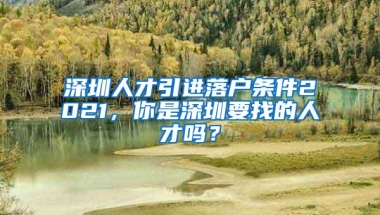 深圳人才引进落户条件2021，你是深圳要找的人才吗？