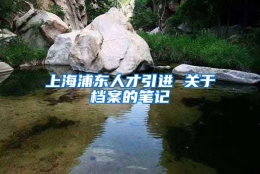 上海浦东人才引进 关于档案的笔记